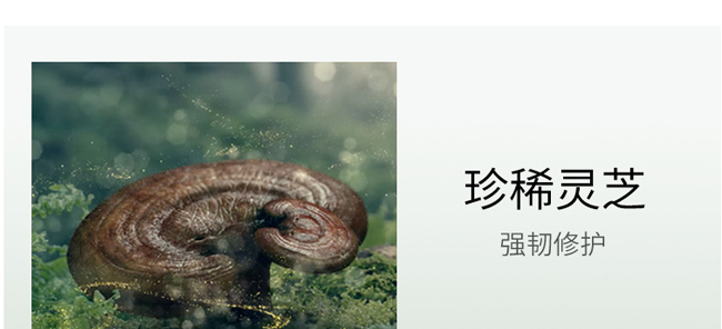 �����`֥�ɲ�ϵ���o�w�׽M