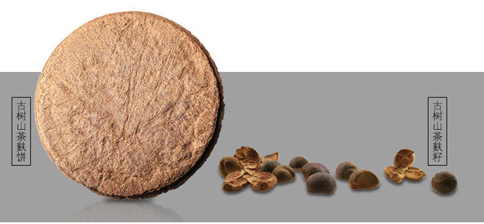 ���ϼ���-�Ř�ɽ����ϴ�l��