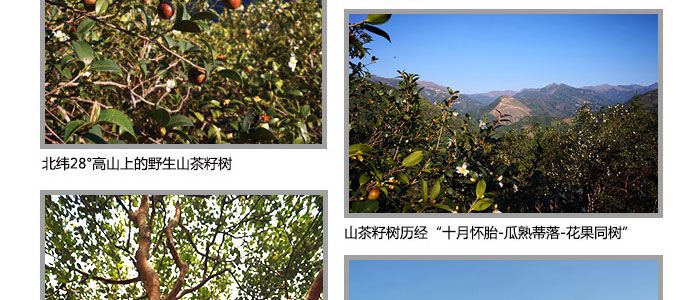 ���ϼ���-�Ř�ɽ����ϴ�l��