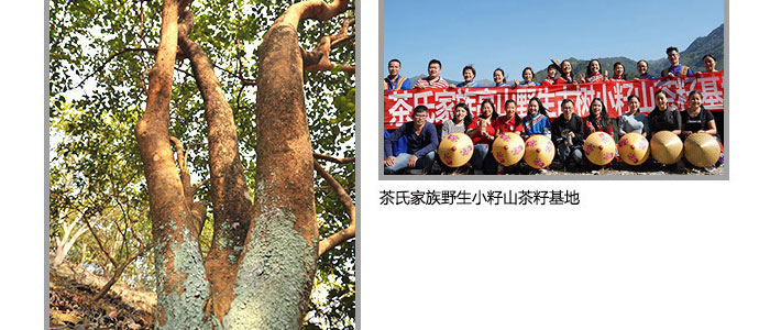 ���ϼ���-�Ř�ɽ����ϴ�l��