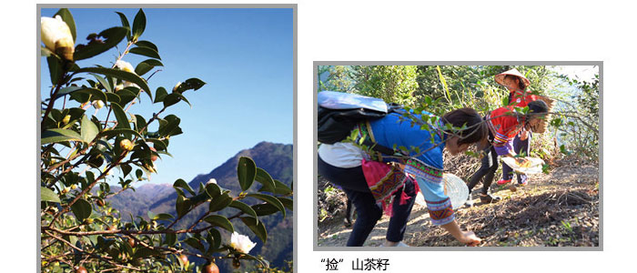 ���ϼ���-ɽ�����{������