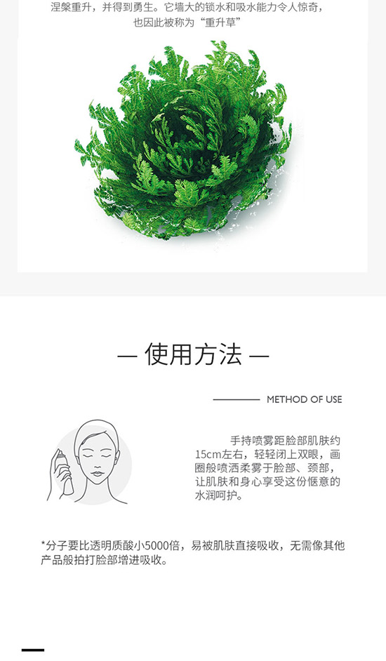 ���_ľС���Ӈ��F