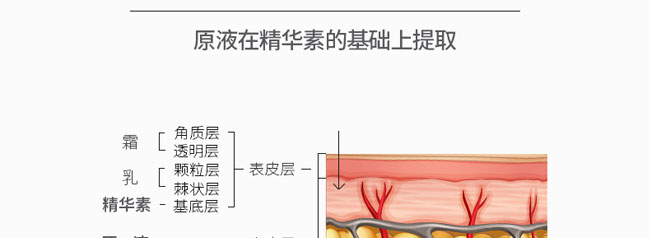 韓詩泉谷胱甘肽原液 韓詩泉谷胱甘肽原液