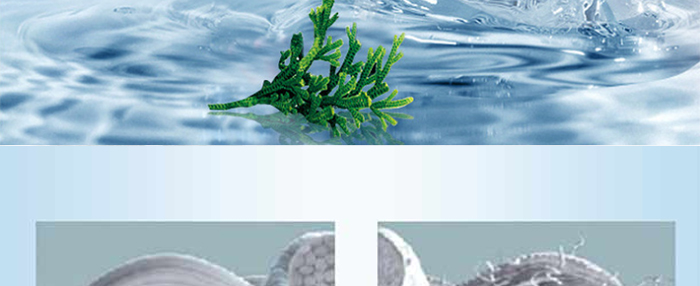 ����ˮ��Ĥ