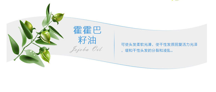 SHIFEI-�Q�z����ϴ�lˮ