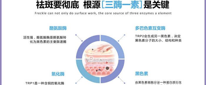 紫璐套盒OEM_ODM 紫璐套盒OEM_ODM