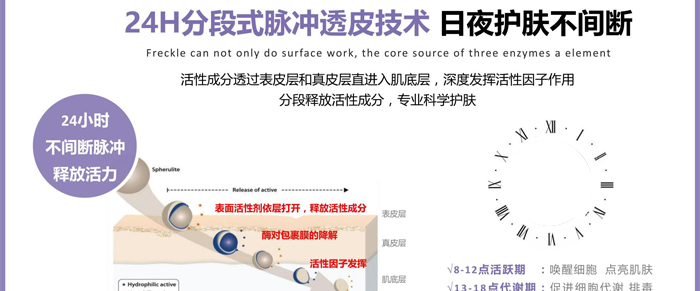 紫璐套盒OEM_ODM 紫璐套盒OEM_ODM