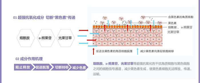 紫璐套盒OEM_ODM 紫璐套盒OEM_ODM