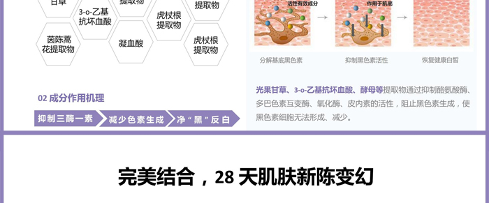 紫璐套盒OEM_ODM 紫璐套盒OEM_ODM