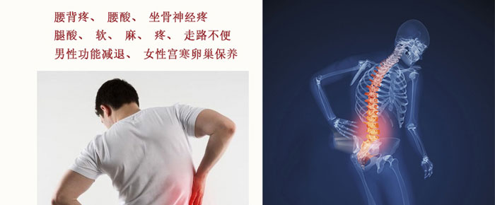 �����������{���׺�