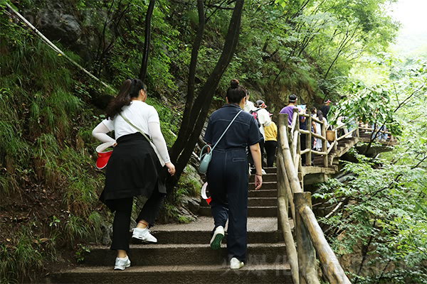 領略國學之美,感悟人生智慧 領略國學之美,感悟人生智慧