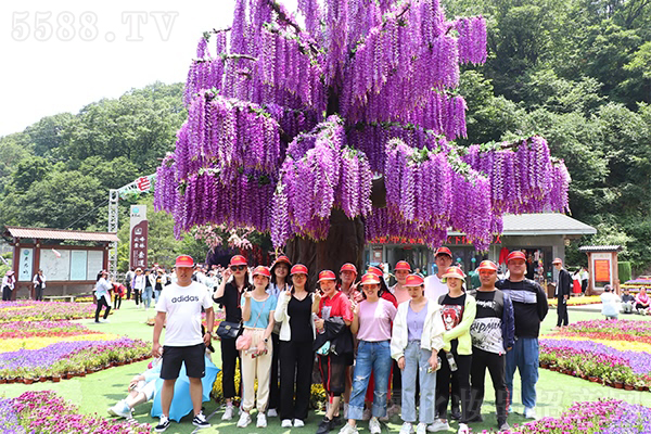 ���h��Ҫͣ���Լ��ʵǵ��_��