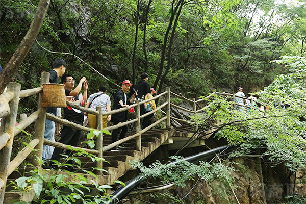 暢游老君山 暢游老君山