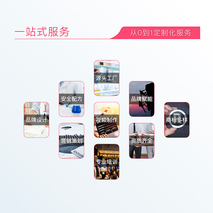 哈健堂內雕塑型套盒 哈健堂內雕塑型套盒