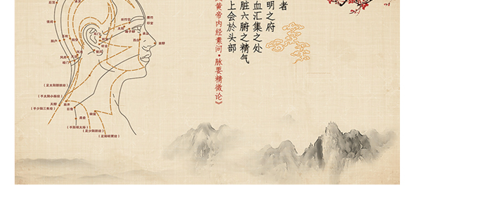 今日瑤1號湯 今日瑤1號湯