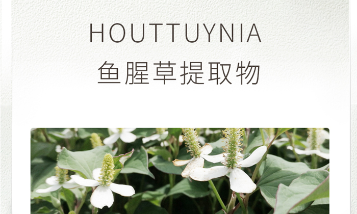 �ŭZ���澏���o���AҺ