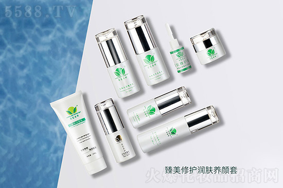 ����B���������o���w�B���