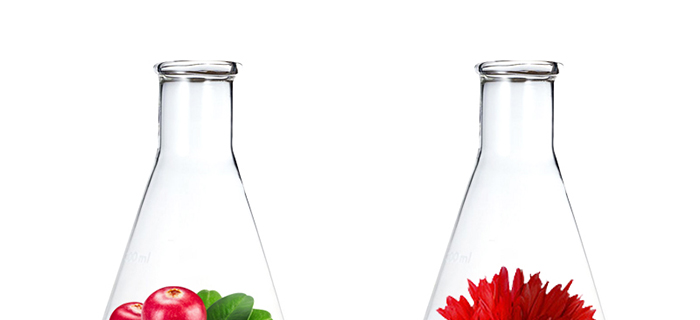 ���ǉ��ɼ���͸�B(y��ng)�o(h��)��