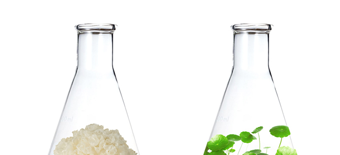 ���ǉ��ɼ���͸�B(y��ng)�o(h��)��