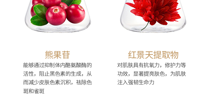 ���ǉ��ɼ���͸�B(y��ng)�o(h��)��