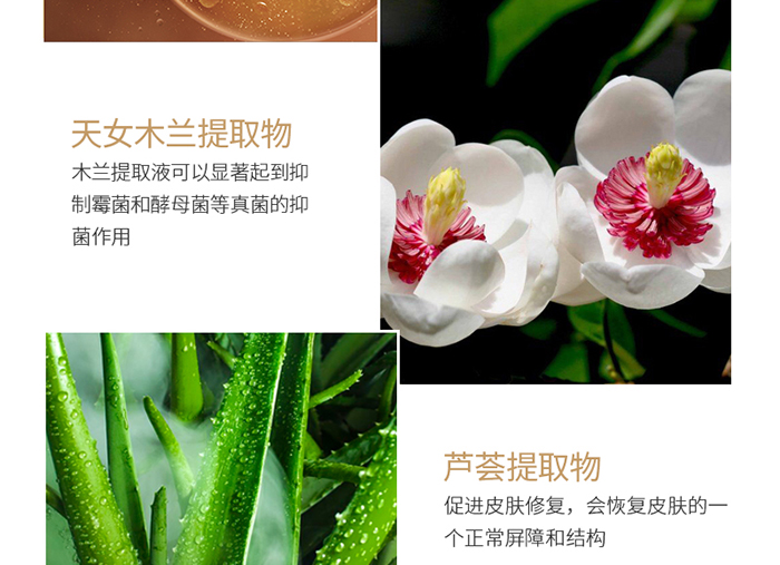 ��������˪