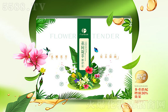 �tʩ�����g�������o��