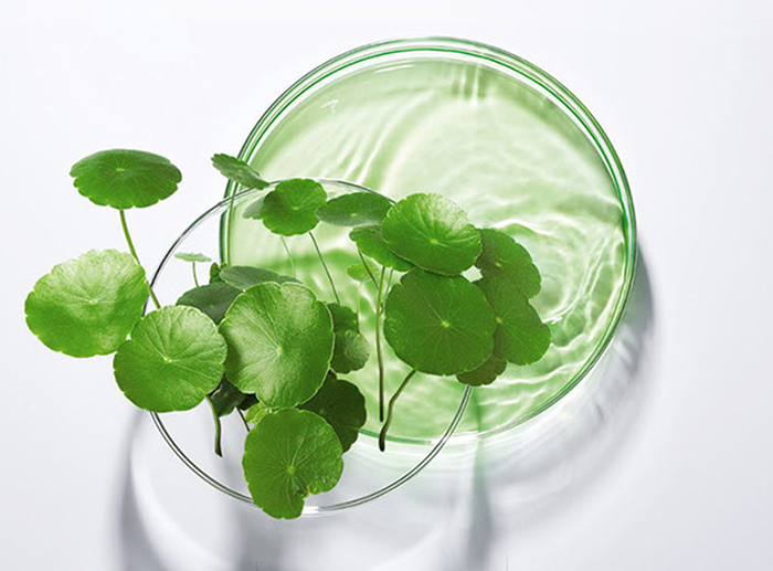 Ԕ��-���w���B(y��ng)���AҺ