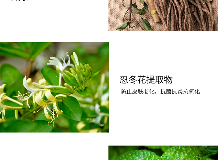 Ԕ��-ֲ��ƽ��ˮ