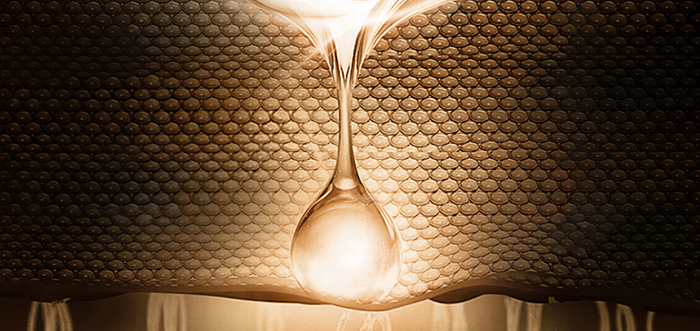 Piccoch���N���ݼ���׺�