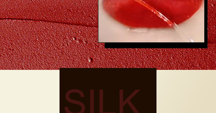 戀枝秀絲羽柔焦緞面不沾杯口紅 戀枝秀絲羽柔焦緞面不沾杯口紅